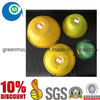 OEM PP Garden Flowepot Injection Plastic Mould