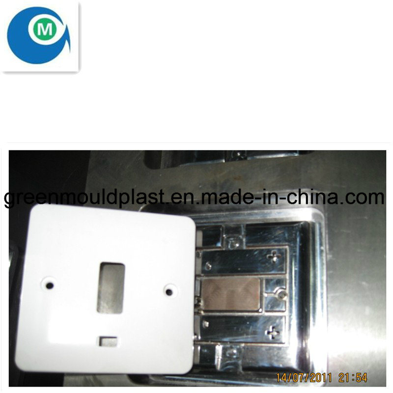 Mulity Cavity of Injection Switch Box Mould