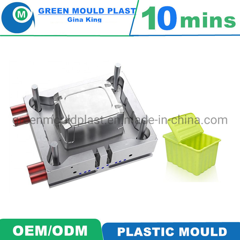 Professional OEM Plastic Household Mould Plastic Clothes Container Mould