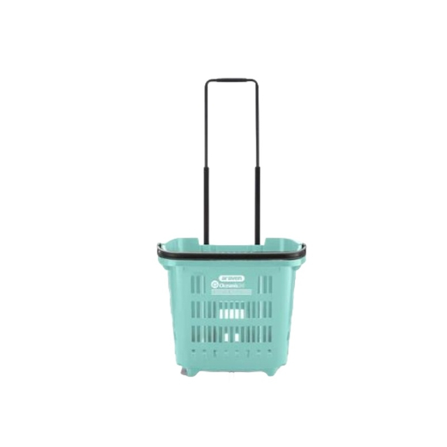 Plastic Fruit Shopping Basket Mould Manufacturer