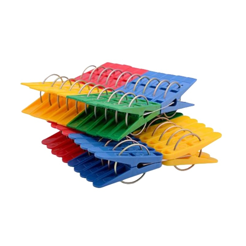 Household Plastic Injection Mould Cloth Clip Mould Factory