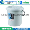 Cheapest Bucket for Plastic Injection Mould