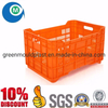 OEM High Quality Injection Plastic Fruit & Fish Crate Mould