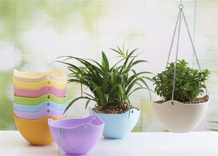 Hot Selling Custom Plastic Injection Molded Flower Pot Molds Provided by OEM/ODM