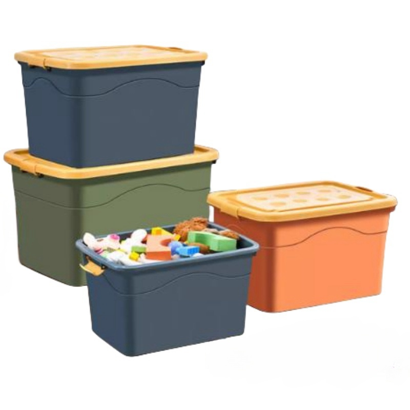 Mold Maker Factory Transparency Storage Mould Custom Plastic Production Plastic Carton Customized