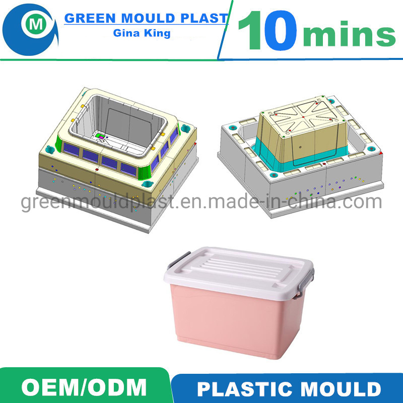 Professional OEM Plastic Household Mould Plastic Clothes Container Mould